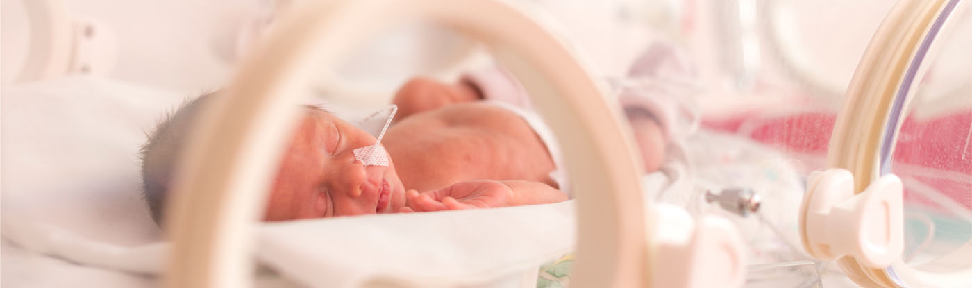 Perceptorship programme